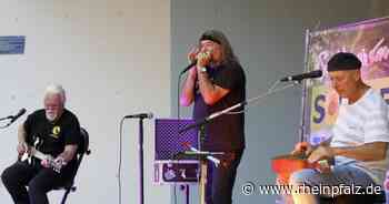 Echte Liebe zur Musik: Acoustic Blues Community im Volkspark - Kaiserslautern - Rheinpfalz.de