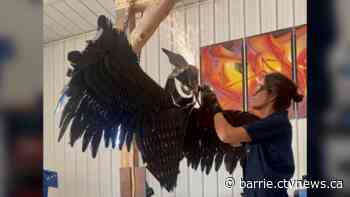 Collingwood's new playground features accessible attractions