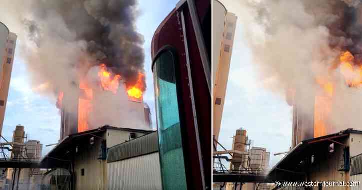 US Agriculture Takes Devastating Blow - Mysterious Fire Destroys Grain That Would Have Fed Americans