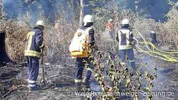 Feuerwehreinsatz: Erneut brennt ein Waldstück bei Lauingen