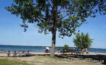 Georgina beaches among top ranked in York Durham Headwaters - NewmarketToday.ca