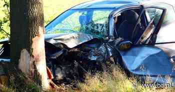 Man aangehouden nadat hij met zijn auto op een boom was geknald in Heesch - BD.nl