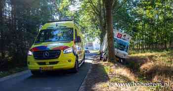 Bezorgwagentje van Picnic botst tegen boom in Oud Gastel, bezorger lichtgewond - BN DeStem