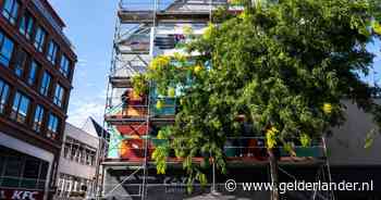 Reuzestilleven in de Looierstraat gaat voor groot deel schuil achter een boom, maar dat is juist de bedoeling - De Gelderlander