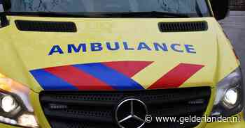 Automobiliste overleden na frontale botsing met boom | Limburg | gelderlander.nl - De Gelderlander