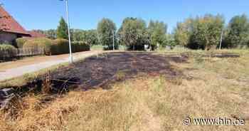Grasveldje gaat in vlammen op | Roeselare | hln.be - Het Laatste Nieuws