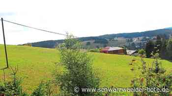 Sommerberg II Schönwald - Weg geebnet für zehn weitere Bauplätze - Schwarzwälder Bote