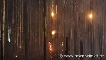 Deutschland: Unzählige Waldbrände im Sommer 2022 - Zugverkehr eingeschränkt