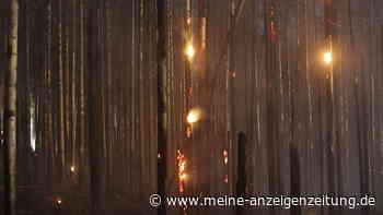 Deutschland: Unzählige Waldbrände im Sommer 2022 - Zugverkehr eingeschränkt