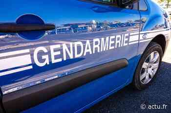 Pornic : il appelle les gendarmes au secours… et se rebelle dans leur voiture - actu.fr