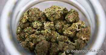 Flathead County commissioners won't seek opt-out vote on retail marijuana - Daily Inter Lake