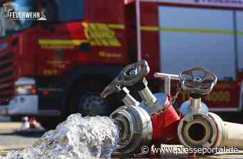 FW Frankenthal: Brand eines Bürocontainers und angrenzende Grünfläche