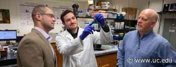 Pentagon grant funds burn, TBI therapy research | University Of Cincinnati - University of Cincinnati