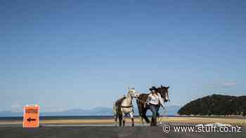 Election contests for all council seats in Nelson and Tasman - Stuff