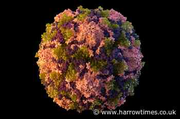 Polio detected in NYC's sewage, suggesting virus circulating - Harrow Times