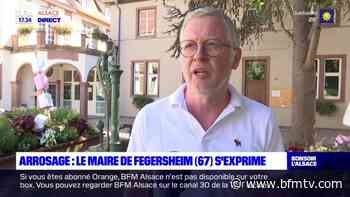 Fin de l'arrosage des massifs floraux: le maire de Fegersheim s'exprime - BFMTV