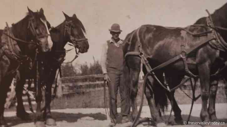 Abbotsford family celebrates more than 100 years of farming
