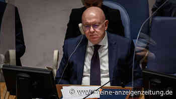 UN-Sicherheitsrat: Russischer Botschafter wirft Ukraine „Krokodilstränen“ vor