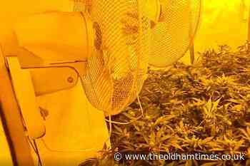 One arrest after cannabis farm found in St Mary's, Oldham - The Oldham Times