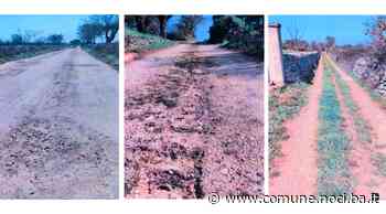 Manutenzione strade extraurbane: al via interventi per € 60.000 - Comune di Noci