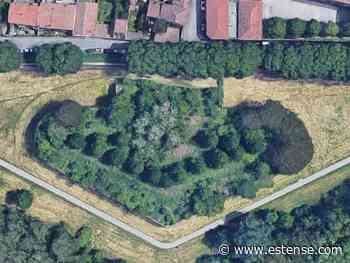 Pulizia delle erbe infestanti al baluado di San Pietro | estense.com Ferrara - Estense.com