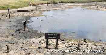 Drought officially declared for Lincolnshire as baking hot summer continues - Grimsby Live