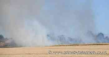 Live Grimsby field fires updates as crews tackle blazes in scorching heat - Grimsby Live