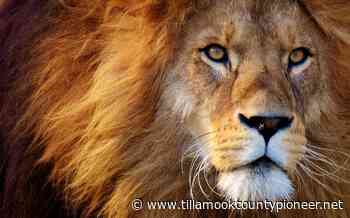 ASTROLOGY: Full Moon in Aquarius 8/11/22 – Arise to the challenge! – Tillamook County Pioneer - Tillamook County Pioneer