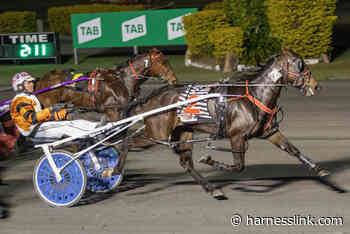 Changeover three-year-olds take Redcliffe wins - Harnesslink