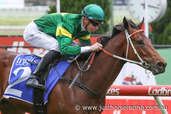 Hawkes three-year-olds kick-off at Caulfield - Just Horse Racing