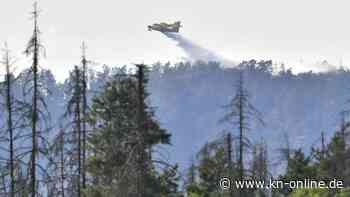 Waldbrand in der Böhmischen Schweiz gelöscht – In Sachsen weiterhin keine Entwarnung