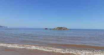 Body found near Sidmouth in search for missing Exeter woman - Devon Live