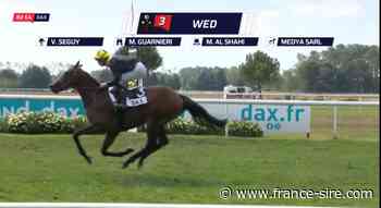 Dax : Wed en toute décontraction - France-sire