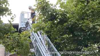 Rodez : les pompiers sortent la grande échelle pour secourir une personne âgée - Centre Presse Aveyron