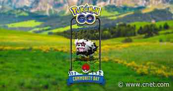 Pokemon Go August Community Day: Galarian Zigzagoon, Event Move and More     - CNET