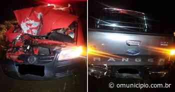 Carro com placas de Brusque se envolve em acidente com caminhonete e boi na rodovia Antônio Heil, em Itajaí - O Município