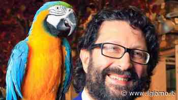 Strage di Samarate, Maja e il sorriso appena accennato per il figlio uscito dal coma - Cronaca - IL GIORNO