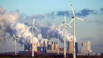 RWE verdoppelt Gewinn: Wie kann das sein inmitten der Energiekrise? - WDR Nachrichten