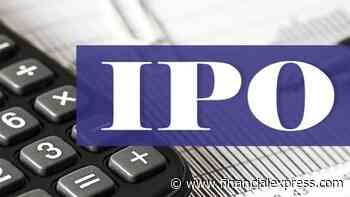 How can cryptocurrency firms conduct IPOs - The Financial Express