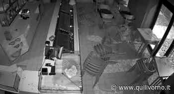 Sfonda la vetrata della pasticceria e fugge con il cassetto della cassa - QuiLivorno.it