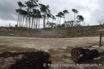 Anglet : interdiction de l'accès à la forêt du Pignada et du Lazaret en raison du risque incendie - France 3 Régions