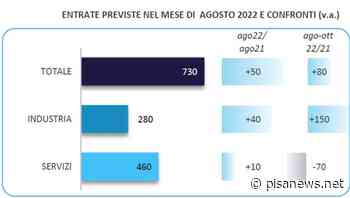 I dati di agosto sulla domanda di lavoro a Pisa, Massa-Carrara e Lucca - PisaNews - PisaNews