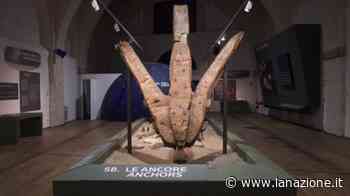 Museo delle Antiche Navi di Pisa, visite serali e nuova apertura prolungata del museo - LA NAZIONE