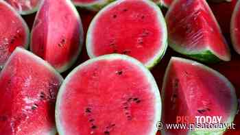 Weekend lungo di Ferragosto: cosa fare a Pisa e provincia - PisaToday