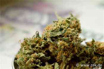 Kontrollen beim „Keep it real Jam“ in Balingen: Der Polizei gehen zwei Drogendealer ins Netz - Zollern-Alb-Kurier