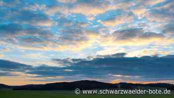 Sternschnuppennacht - An diesen Orten sieht man die Sternschnuppen im Zollernalbkreis - Schwarzwälder Bote