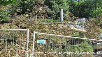 Schreck im Balinger Freibad - Großer Ast fällt auf Rutsche - Schwarzwälder Bote