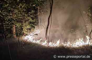 FW Celle: Waldbrand in Westercelle