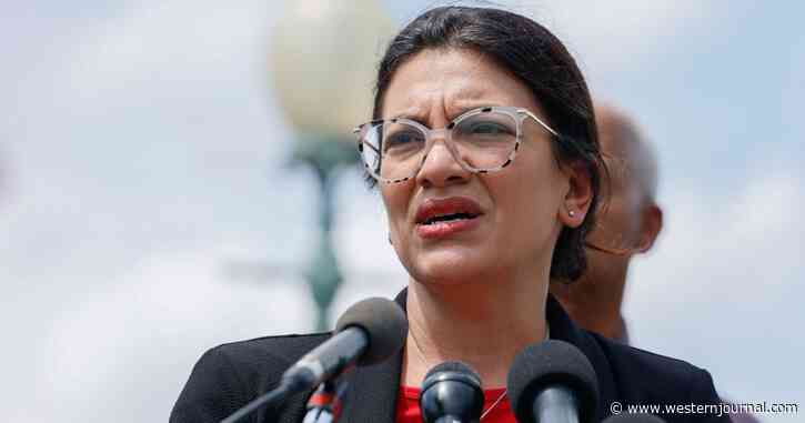 Democratic Rep. Rashida Tlaib Reportedly Raked in Tens of Thousands of Dollars in Rental Income as She Pushed for 'Nationwide Cancellation' of Rent