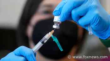 Fox News Poll: More concern over coronavirus than monkeypox - Fox News
